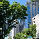 세븐일레븐 대전신성스타점 | 후쿠오카 숙소 추천 위치 좋은 호텔 &#39;APA Hotel &#39;