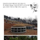 대부장묘