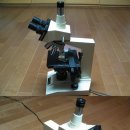 [판매완료] 동원생물현미경(3구 4안)-렌즈 DIN입니다.(아메바동영상) 이미지