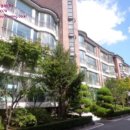 야탑로231번길 이미지