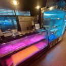 월피동고기마루 이미지