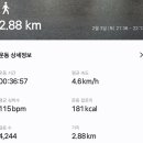 블라우(Blau) 이미지