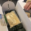 이레스테이 이미지