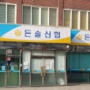 든솔 이미지