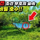 드디어 새롭게 개방!! | 112년 전 조선의 숲속, 숨겨진 3개의 비밀 호수를 찾아 걷는 트레킹 코스 | 국내 기차여행 | 국내 가볼 이미지