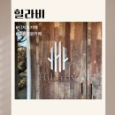 힐라비 | 점심시간 급 다녀온 회사 근처 카페 힐라비 솔직후기