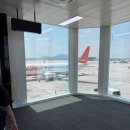 강서특수여객 | 제주항공 모바일 탑승권 체크인 티켓 사전좌석 지정 추천