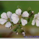 달맞이펜션 이미지