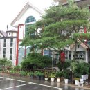 동강빌리지 이미지