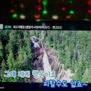 파랑새 노래연습장 이미지