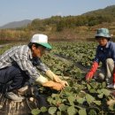 우곡농장 이미지