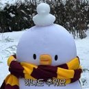 사계절 복코다리 이미지