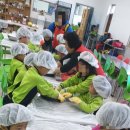 봉래초등학교병설유치원 이미지