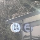 516점빵