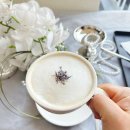 고양이살롱앤카페 | 영국풍 프라이빗 호텔식 티룸홍대카페 애프터눈티세트 아드떼카페앤살롱 302후기