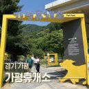 겨우리애견 이미지