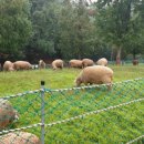 인천목장 이미지