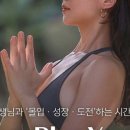 다이브플로우 이미지