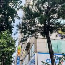 부광프라자 이미지