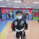 강철체육관(태권도) 이미지