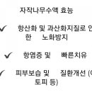제이24스타뷰티