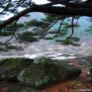 송전마을(송전) 이미지