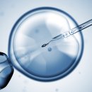 엠에스여성의원 이미지