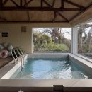 스테이그라피 이미지