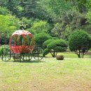 초록숲공원 이미지