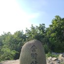 부산 승학산 구덕산 시약산 대티고개 까치고개마을 괴정고개 이미지