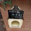 백미리 공중화장실 | 서울 근교 갯벌 체험 탄도 어촌 갯벌 체험장에서 바지락과 동죽으로 해물라면 만들기 제부도