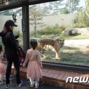 전주동물원 이미지