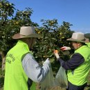 평촌노동조합 이미지