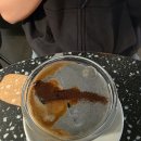 다비드 | [대전/지족동] 대전 지족동 카페 추천 카페 다비드 후기