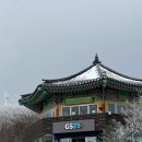 주정차CCTV-학자로삼거리 | 제주 천백고지 휴게소 한라산 1100고지 cctv 주차 12월 제주 여행 가볼만한 곳