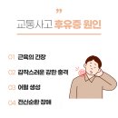 남지한의원 티스토리