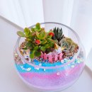 수원교육청 이미지