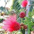 농업기술센터 안 이미지