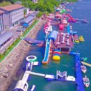 버디버디스크린 이미지