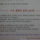 편백수소테라피