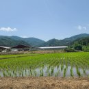 장군산한우 이미지