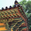 군도15호 | 전통문화가 살아숨쉬는 곳! 안동(安東)을 찾아서... 제Ⅲ편 : 봉정사(鳳停寺)