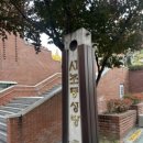 서초대로64길 73 (1) 이미지