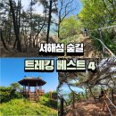 청춘-숲속의 섬, | 서해섬 숲길 트레킹하기 좋은 곳 베스트 4