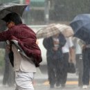 정가네논길추어탕 이미지