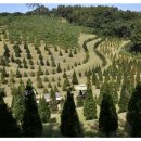 택수목장 이미지