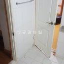 국화우성 이미지