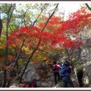 10/27(토) 북한산 단풍산행...벙개합니다~♡ 이미지