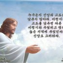 jms 정명석 목사-사랑하는 예수님의 성령으로 잉태하심 증거 이미지