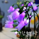 제주의 한란 | 제주도여행 -한란전시관 자연생태원 탐방~
